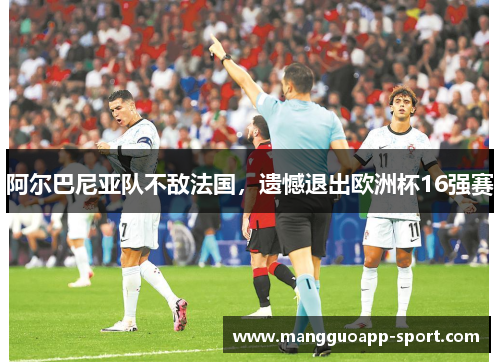 阿尔巴尼亚队不敌法国，遗憾退出欧洲杯16强赛