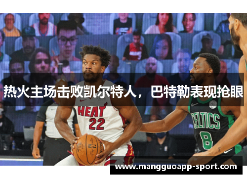 热火主场击败凯尔特人，巴特勒表现抢眼