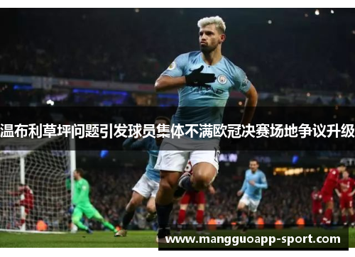 温布利草坪问题引发球员集体不满欧冠决赛场地争议升级