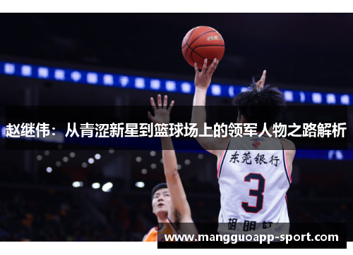 赵继伟：从青涩新星到篮球场上的领军人物之路解析